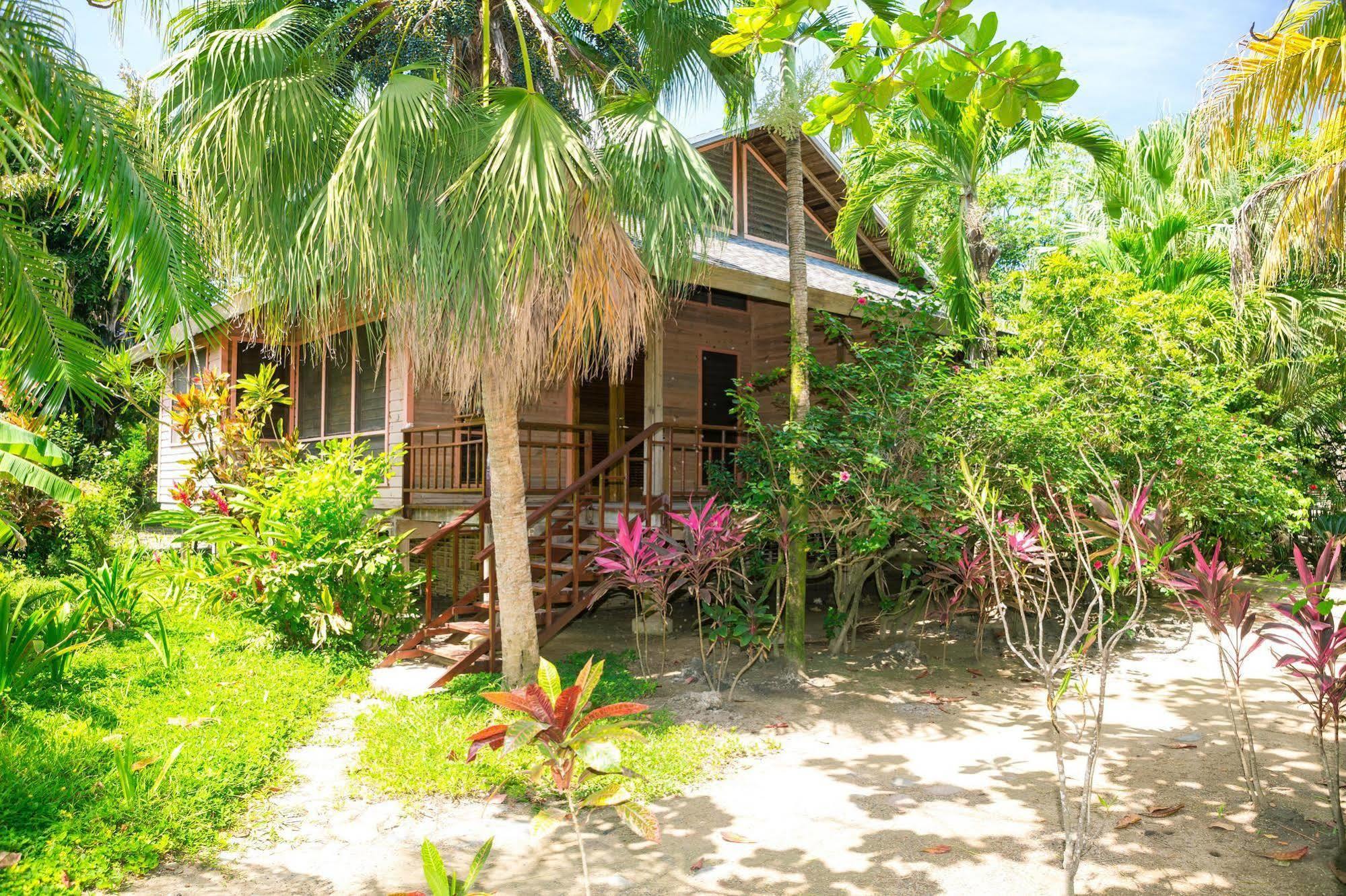 Casa Flores Hotel Palmetto Bay Exterior photo