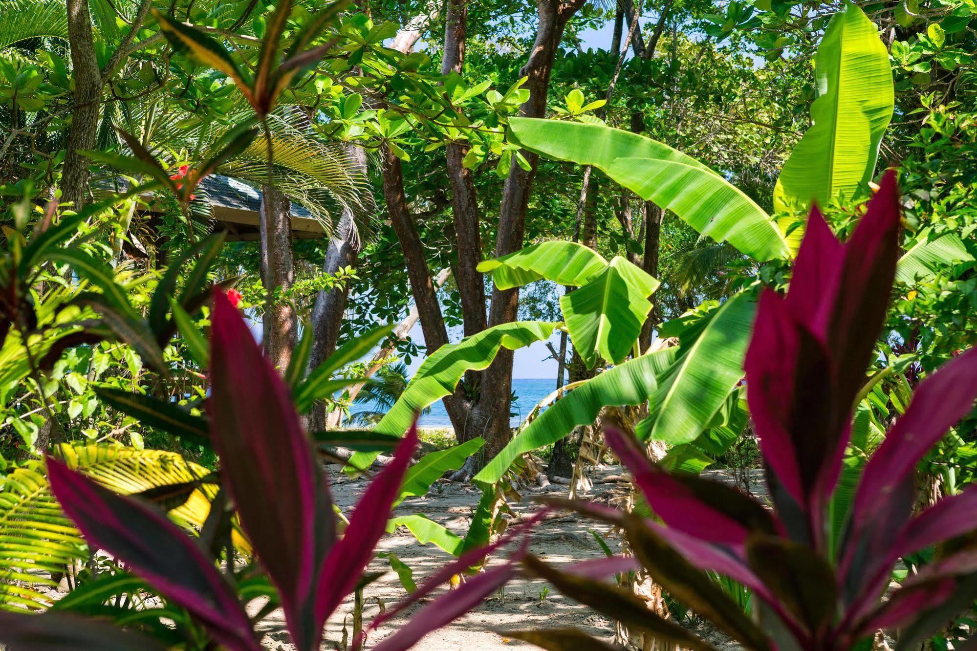 Casa Flores Hotel Palmetto Bay Exterior photo